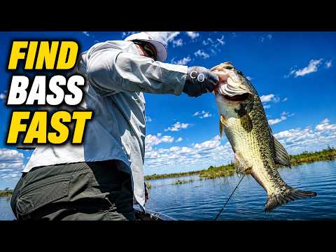 How to Find Bass FAST (Stop Fishing Empty Water)