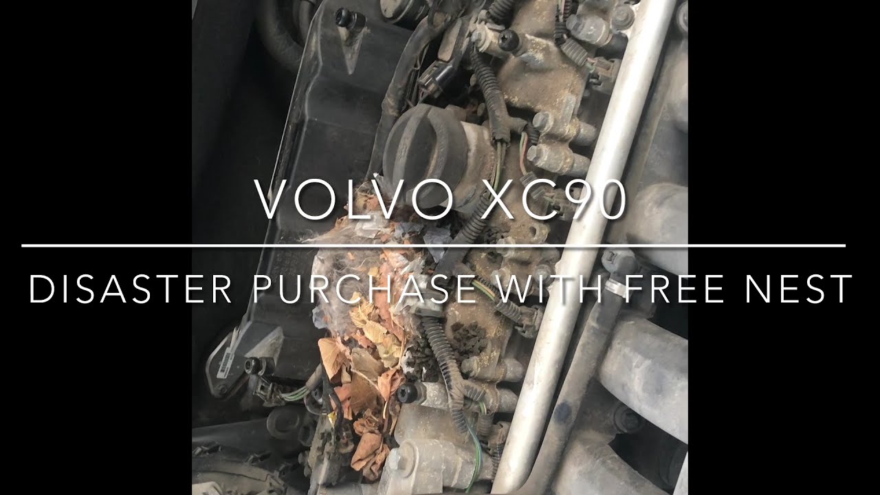 Volvo XC90 with 243k miles, serpentine belt broke, let it sit and got a