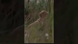 Linda Kozlowski -  crocodile dundee - 1986 #shorts