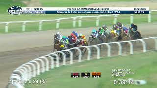 Vidéo de la course PMU PREMIO LA INMEJORABLE 2009
