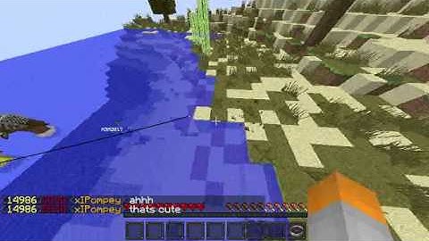 Hive Hacker Report - #1