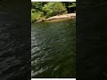 T-BONED watch the bucktail rip sideways #fishing #musky #nature