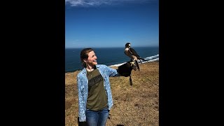 Total Raptor Experience - Falconry Class in La Jolla, California
