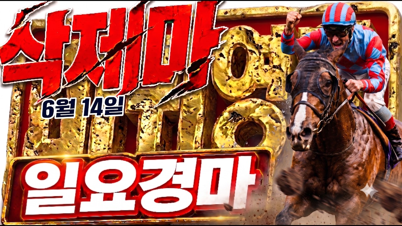 핵심 경주 5개 오픈! 🔥🔥🔥