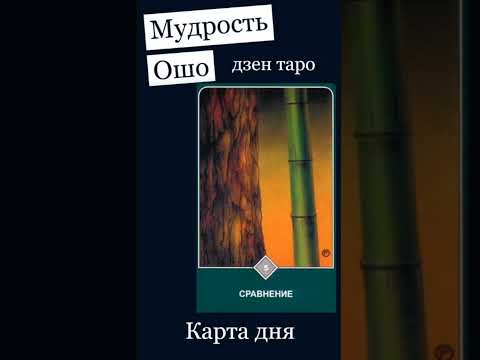 #таро #картадня #Сравнение