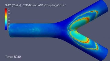 [Ca2+] Waves in Smooth Muscle Cells: CFD-Based Agonist Map, Coupling Case: 1