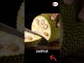 Hyper-Realistic Jackfruit Slicing | Cinematic ASMR in Slow Motion #asmr #fruitvisuals #shorts