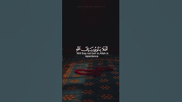 (افلا يتوبون الى الله ويستغفرونه ) سورة المائدة | القارئ عبدالرحمن مسعد