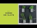 DIY: Herbs on a slate