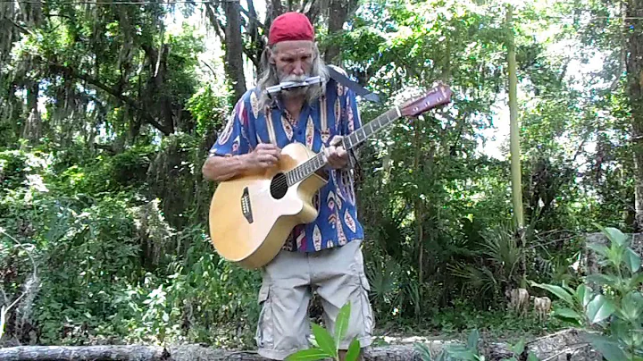 Lynyrd Skynyrd 1st ORIGINAL SONG 1965 by Steve Ves...