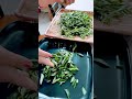 How to store curry leaves in the freezer