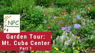 Native Plant Garden TourMt. Cuba Center! #nativeplants #nativeplantsforshade #sustainablegarden