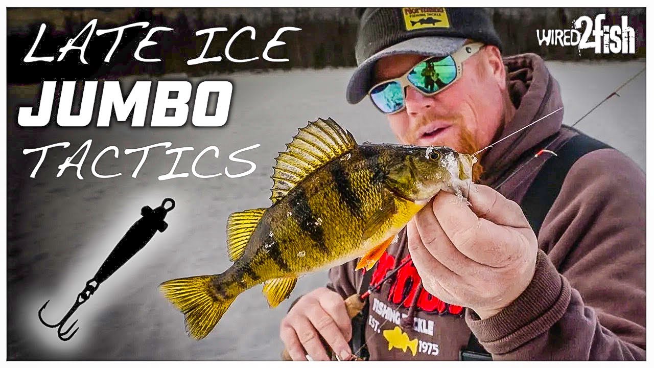 How to Find and Catch Late Ice Jumbo Perch