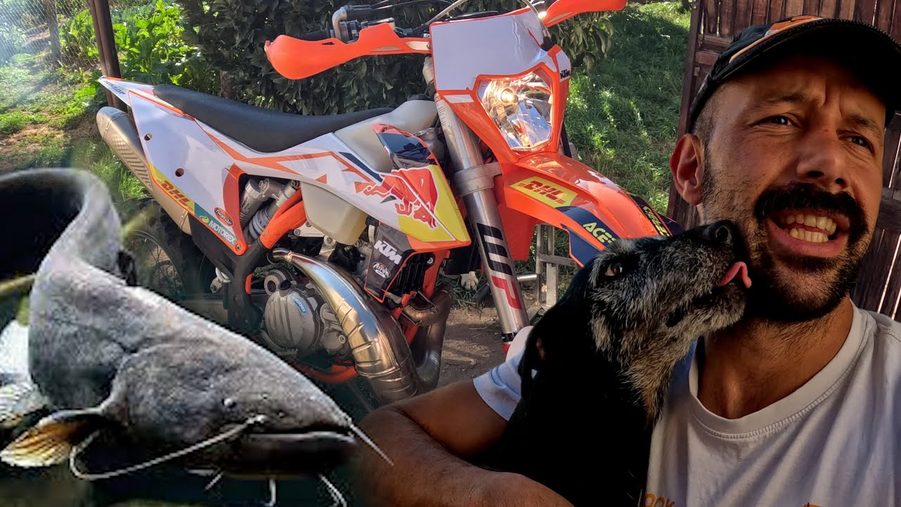 ГИГАНТСКИЙ СОМ АТАКОВАЛ МЕНЯ! Я поймал его голыми руками 🐟🏍️ | KTM EXC 300 Приключение