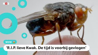 Vlieg van Freek Vonk is dood: 'Het avontuur is voorbij'