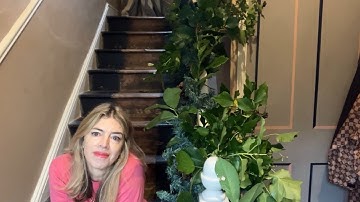 Rare Birds Christmas Diaries 4 - Decking The Hall!