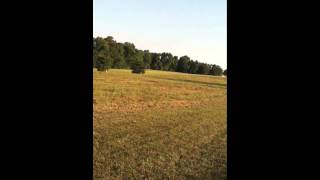 Ritewing Demon 40 Video 2 for Doppler Test