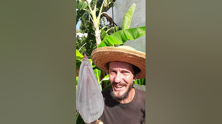 ESSA TÉCNICA DEIXA A BANANA MAIOR.