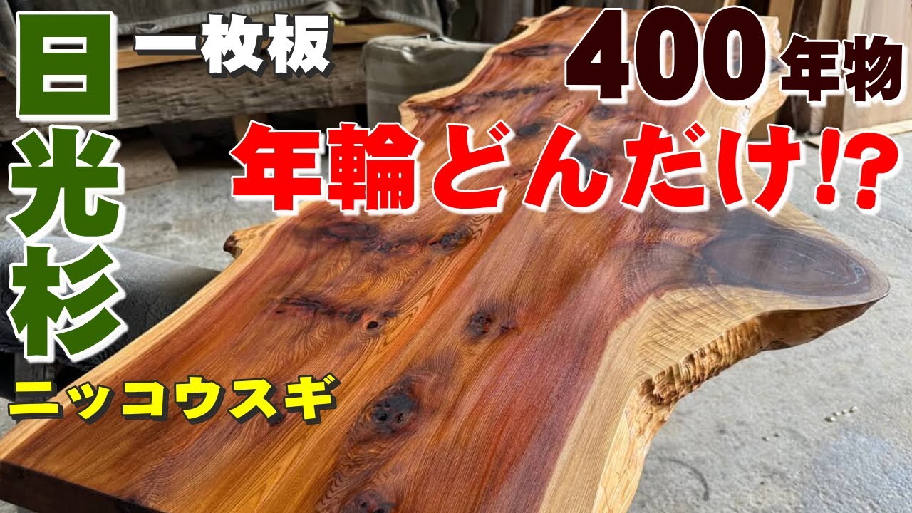 日本だけに生息する『杉（スギ）』の木 | 手で刻む、年月を超える木の