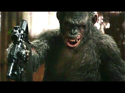 Video: The Planet Of The Apes Could Be A Reality - Alternative View