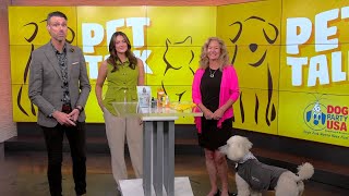 Pet Talk Helps Dogs Handle Thunderstorms and Fireworks