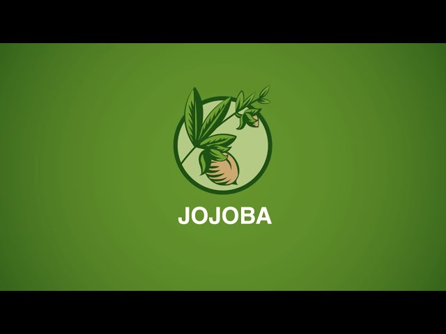 Ficha técnica para el cultivo de Jojoba