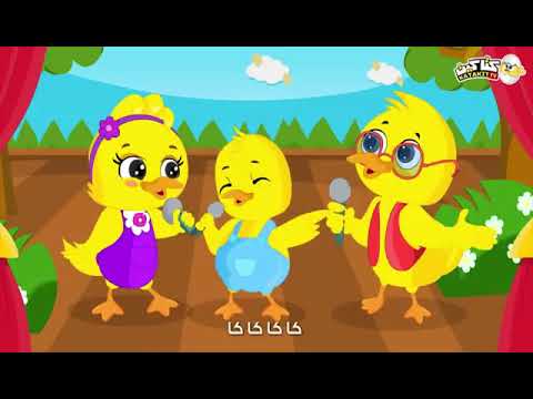اغنية كاكي كاكي كا