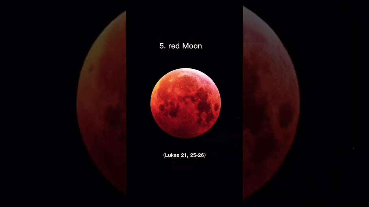 7 SIGNS JESUS Is Coming Back Soon Prophecy Heaven Endtimes Jesus Shorts