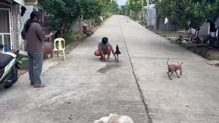 B2-G12-STEM-01 GROUP 2 PHYSICS PT LAUNCHING RACKET 