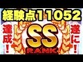 【パワプロアプリ】サクセス#571『SS選手育成！経験点11052・バランス型で夢の選手誕生!?』【ブレインマッスル高校】