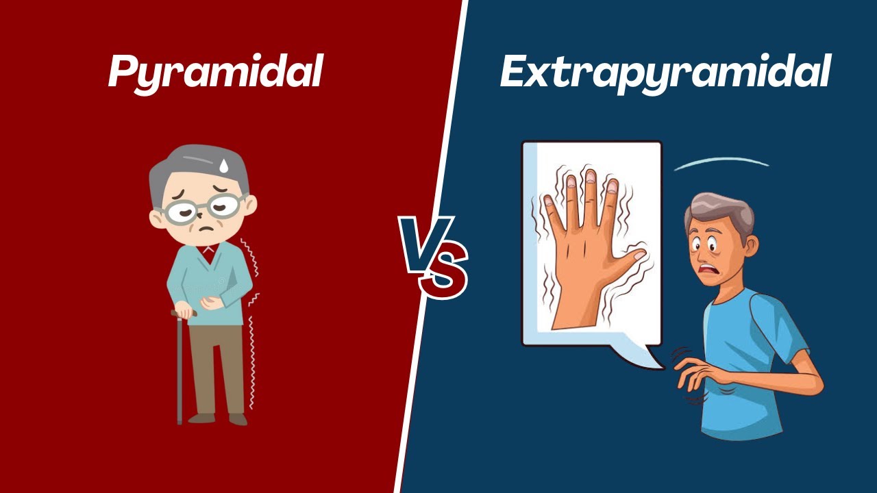 Pyramidal vs Extrapyramidal | Stop Confusing Them Forever