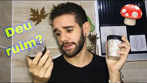 Como produzir cogumelos alucinógenos?