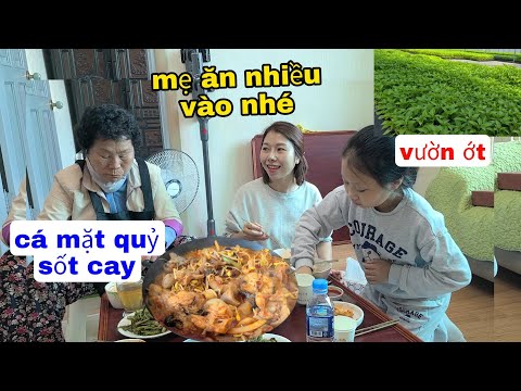 Video CÙNG MẸ ĐI MUA ỚT GIỐNG. CẢ NHÀ ĂN CÁ MẶT QUỶ SỐT CAY???? - youtube