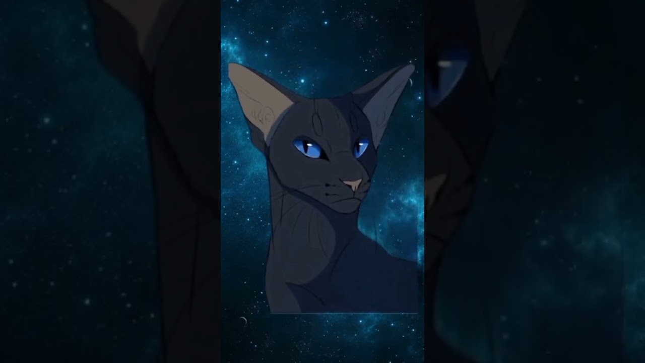 Смонтировала подруга//даже жаль что они расстались милая была пара:( // 