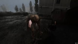 The most chaotic video you'll see - Stalker Anomaly