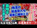【広島東洋カープ】６/４ 日本ハム戦　最長試合は延長１２回、謎の継投で負けを引き寄せる！？　【塹江敦哉】【益田武尚】【名原典彦】【サンドロ・ファビアン】【小園海斗】【柴田獅子】【新井貴浩】【カープ】