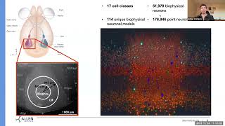 Anton Arkhipov: Bio-realistic multiscale modeling of cortical circuits