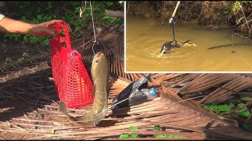 Câu Dính Cá Lóc Kiểu Gì Kỳ Lạ. Nhấp Vịt Con/ Tung Vlog