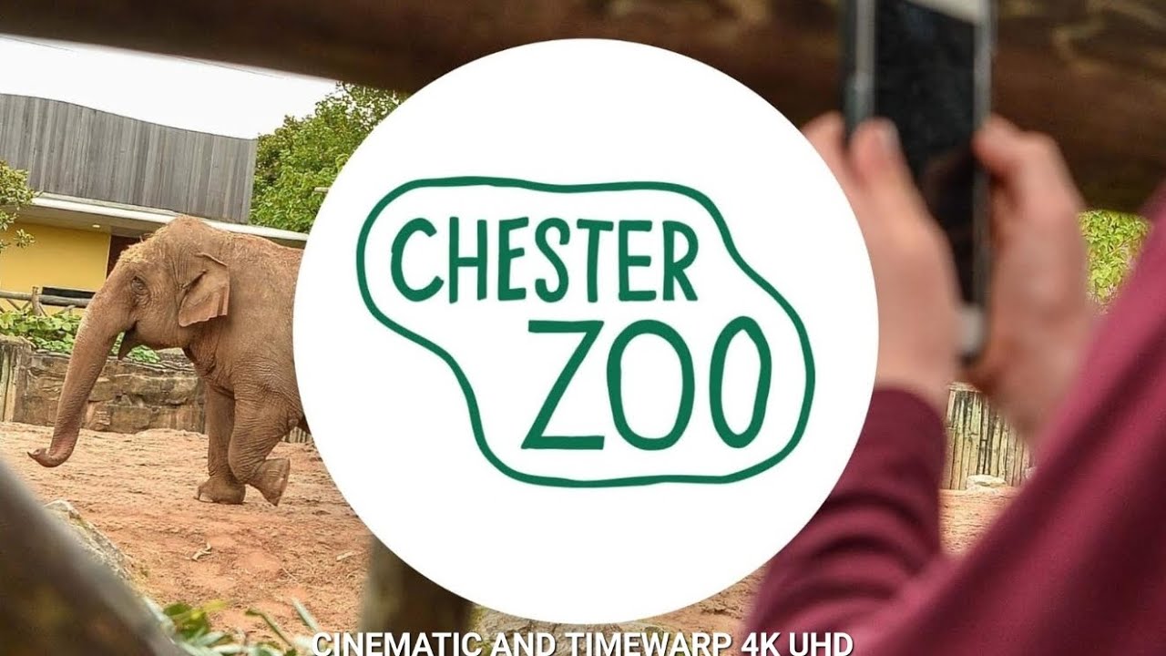 CHESTER ZOO /Cinematic +Timewarp 4K UHD Video/ 2023