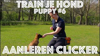 TRAIN JE HOND // Puppy #6 // Hoe leer je je puppy DE CLICKER