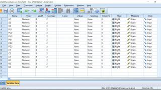 การวิเคราะห์ข้อมูลด้วยโปรแกรม SPSS สำหรับโครงการ กิจกรรม และวิจัยในการทำงาน Part 1