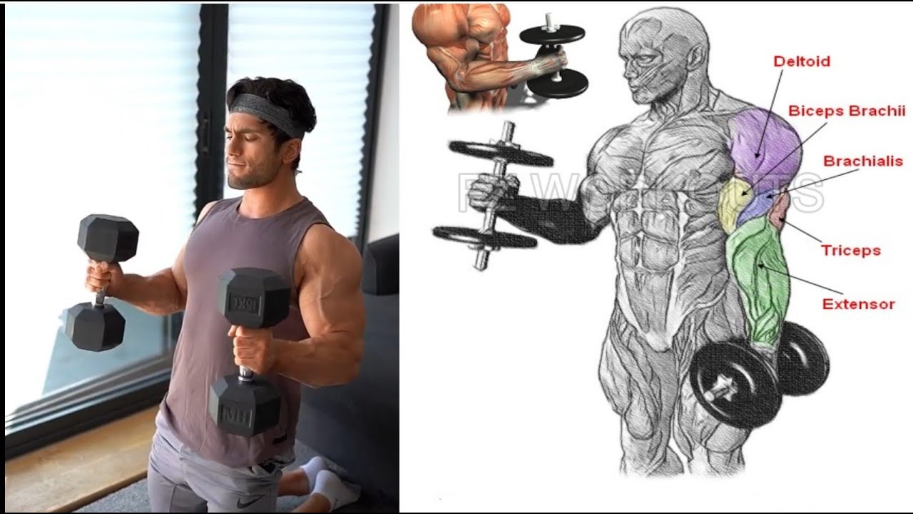 Home Dumbbell Arm Workout YouTube