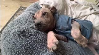 Memory Lane. Our Astrid. October 2022