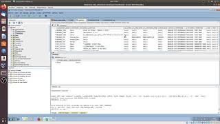 Tutorial Sql Developer Entorno gráfico, insercción y exportación de datos