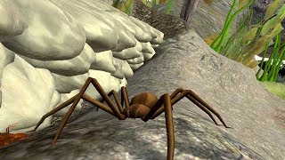 Spider Nest Simulator (by hskdev) Android Gameplay [HD] screenshot 4