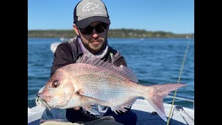 How to catch shallow water Snapper on soft plastics...