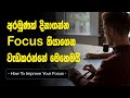 How to improve your focus to achieve goals  sinhala motivational