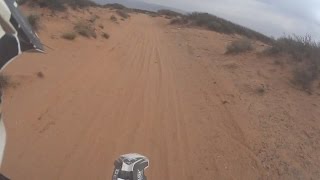 2017 GasIt/NHHA Tarantula 100