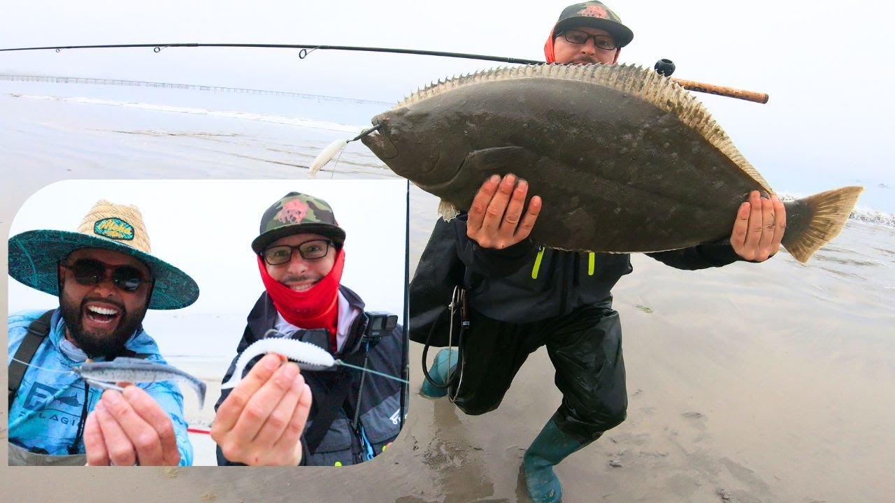 California Halibut Fishing From Shore: Unlocking the Secrets of