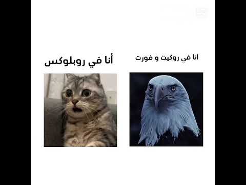 لا عنوان🙃